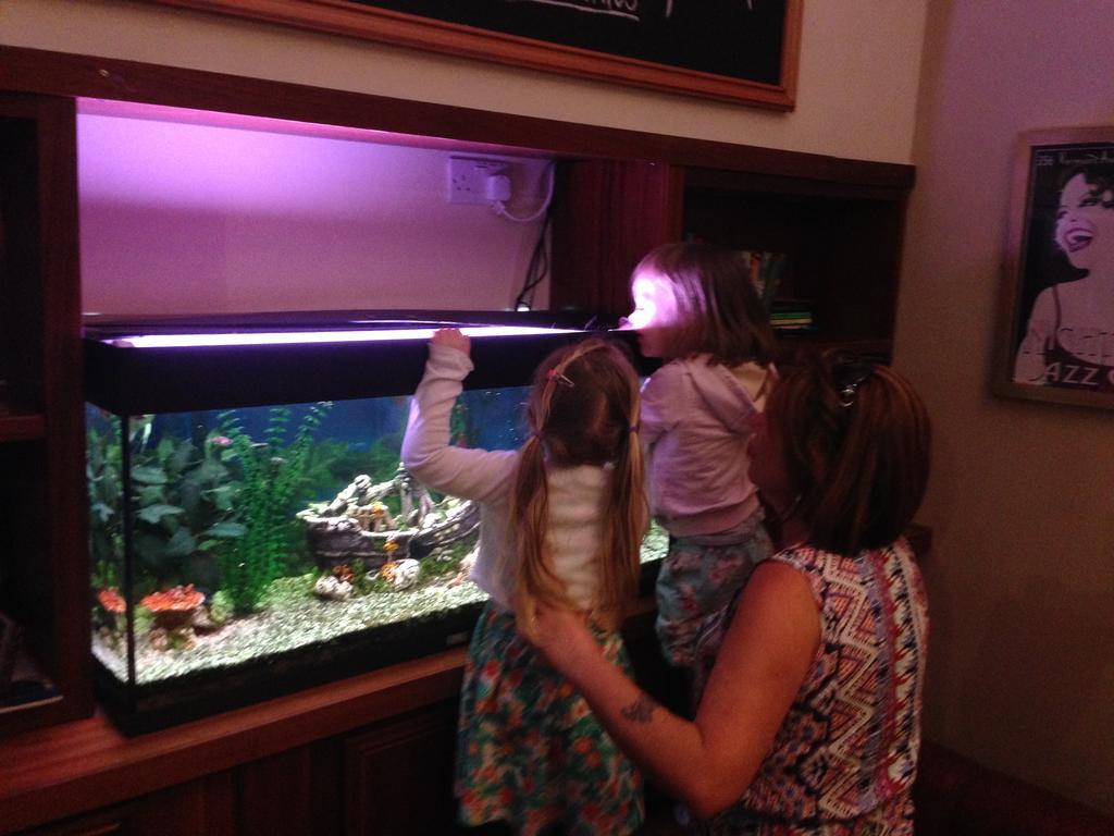 Leitrim Marina Hotel Carrick on Shannon Екстериор снимка